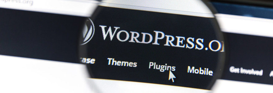 Création de site WordPress